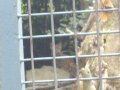 IMGP0935.JPG